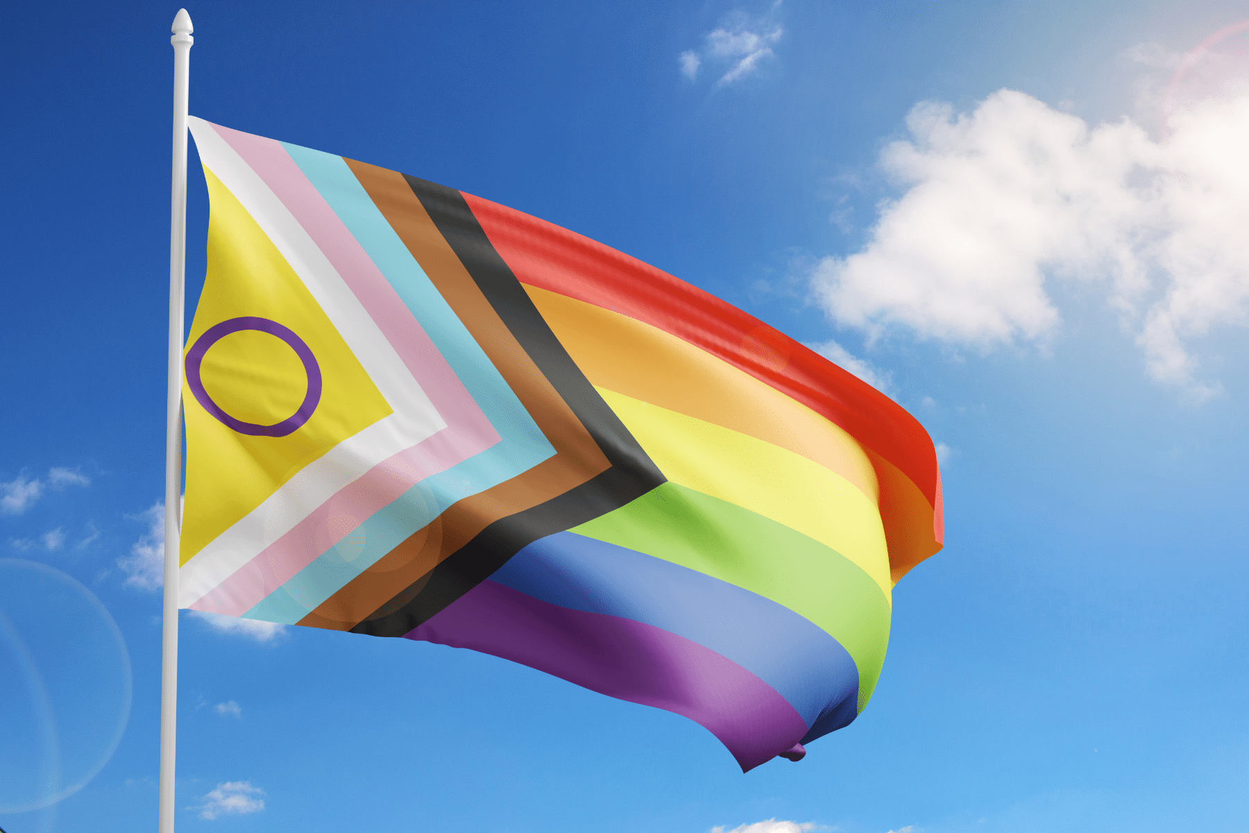 picture of the progress pride flag