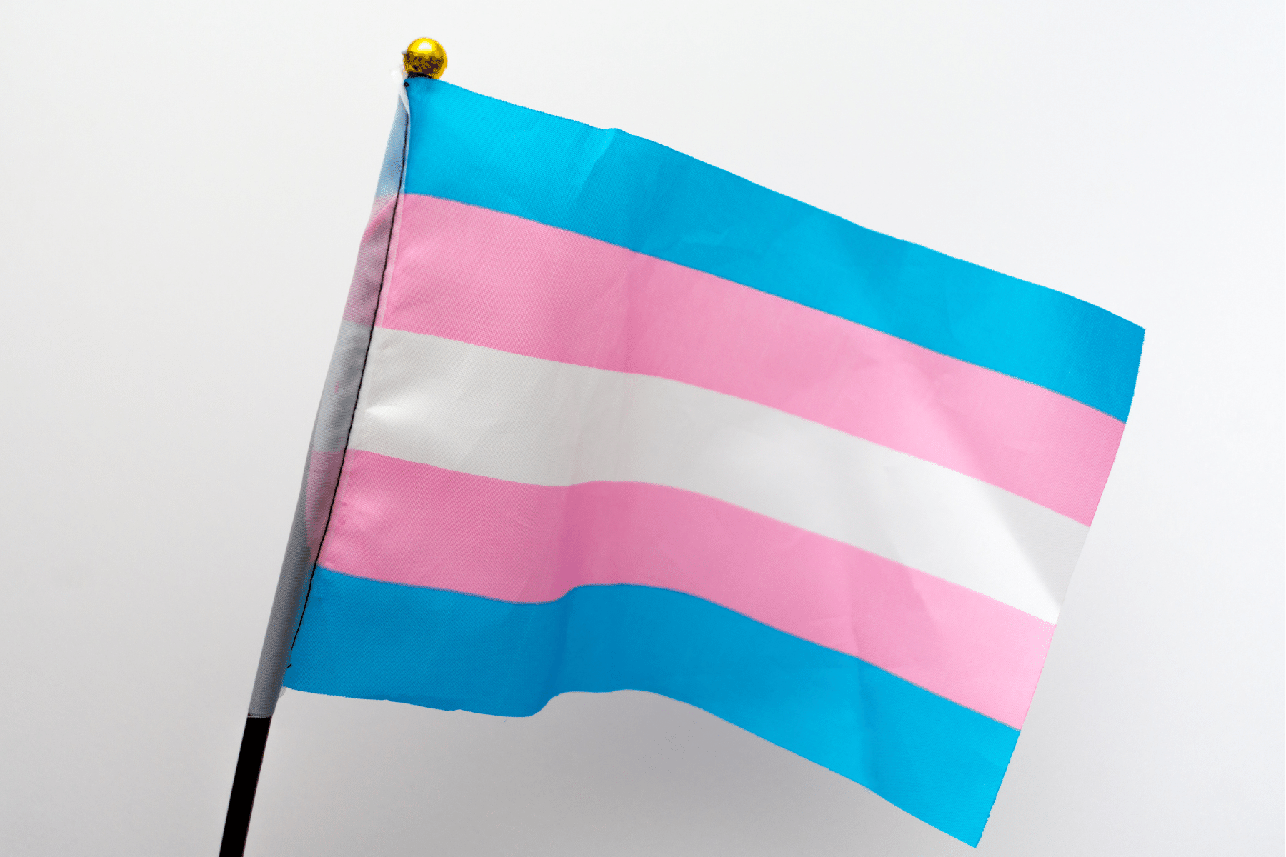 A photo of the Trans Flag waving on a flagpole.